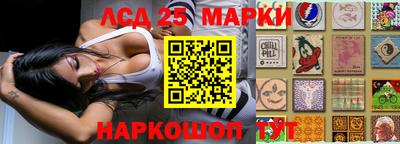 твердый Камышлов