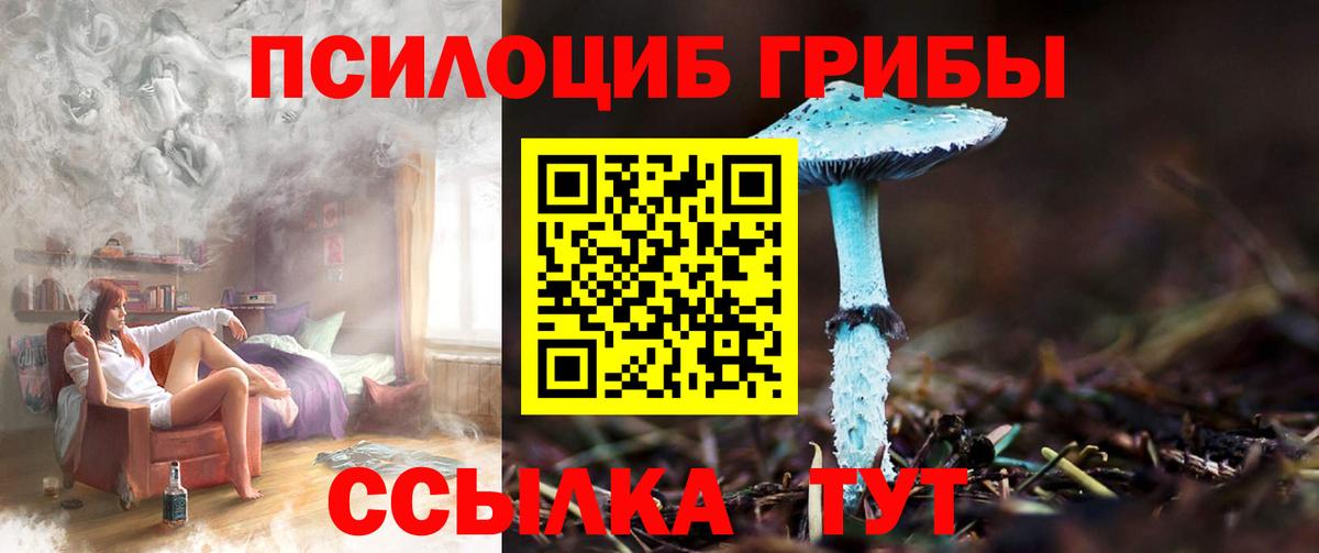 Галлюциногенные грибы Magic Shrooms Ковров